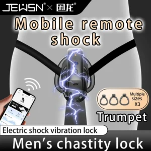 Electric Shock Penis Cage With 3 Rings For Men