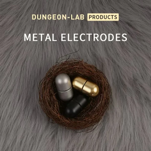DG-LAB 3.0 Electric Shock Metal Anal Plug Electrode